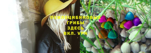 мдпв Беломорск