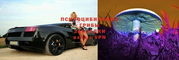 таблы Белокуриха