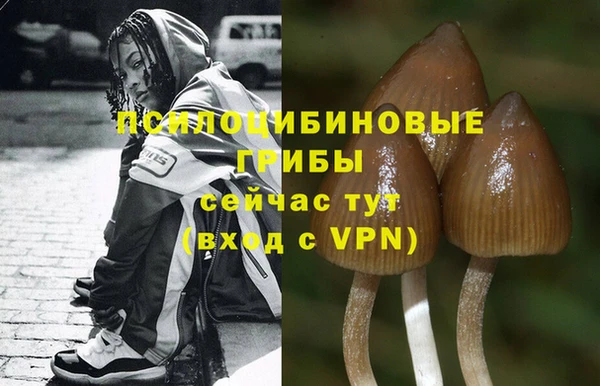 марихуана Богородицк
