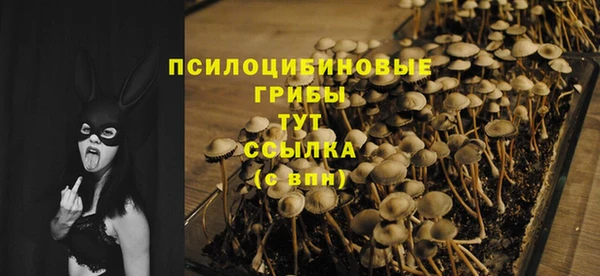 таблы Белокуриха