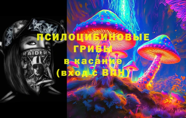 таблы Белокуриха