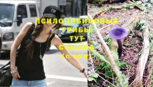 таблы Белокуриха