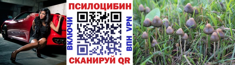 Галлюциногенные грибы Cubensis Верещагино